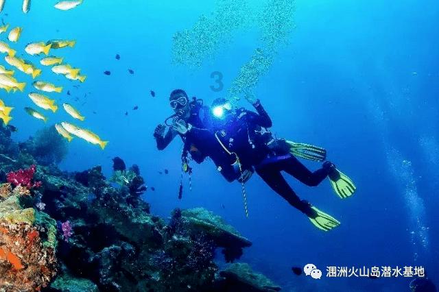 冰球突破游戏网站